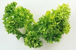 Parsley