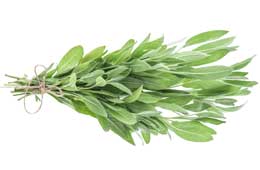 Sage