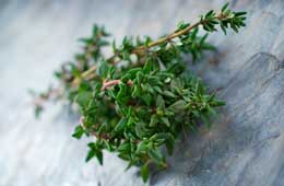 Thyme