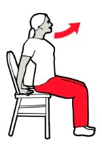 Seated yoga - Seated backbend