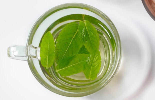 Fresh mint tea