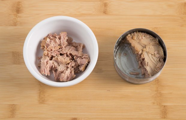 A portion of tuna fish
