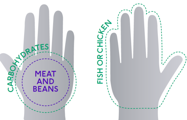 Portion sizes - Hands infographic - carbohydrates, meat and beans, fish and chicken