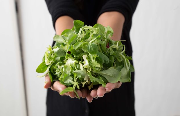 A portion of salad