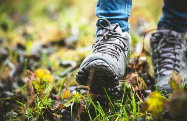 Walking in a forest
