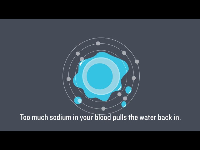 The thumbnail for BHF's video on why too much salt is bad for you.