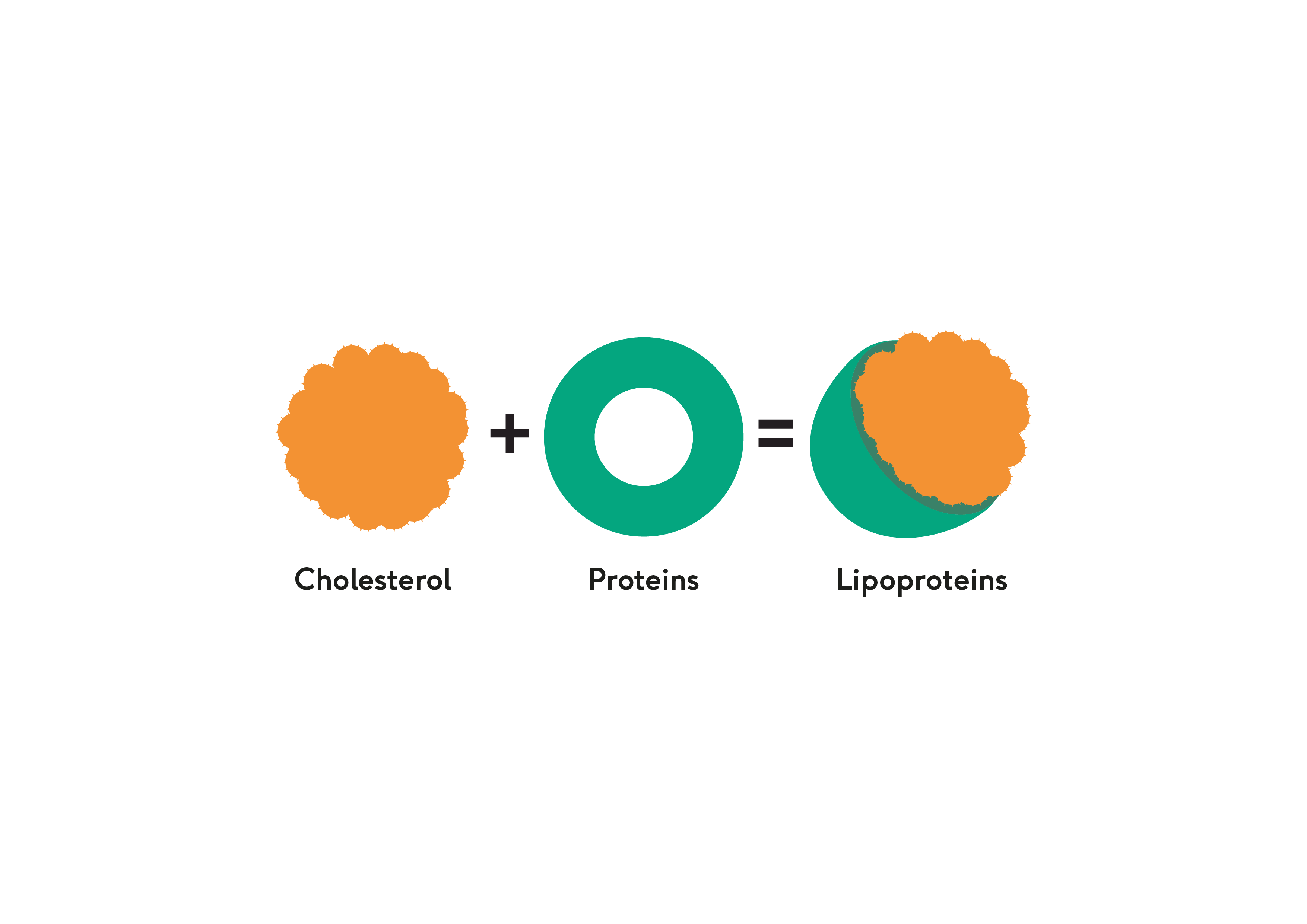 Cholesterol protein lipoprotein