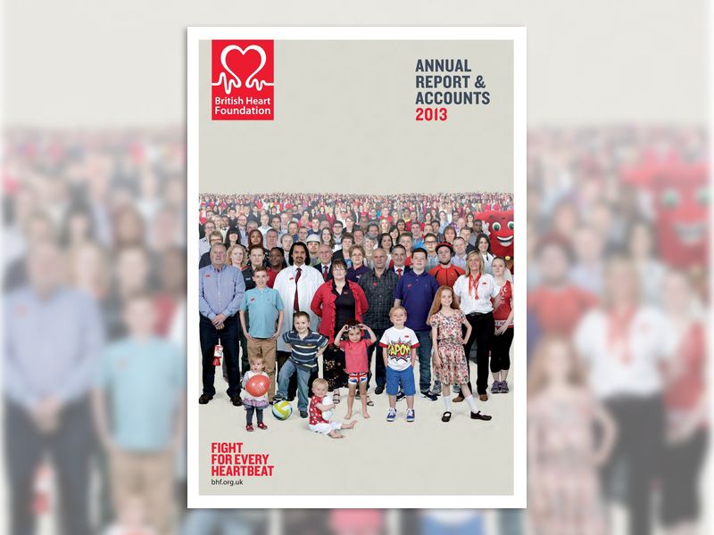 annual_report_accounts_201213