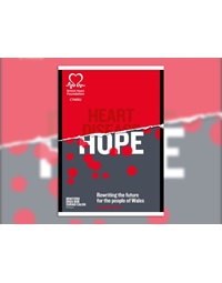 bhf0716943131_wales_2016-final