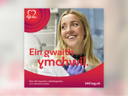 co082-our-research-booklet-welsh-2-digital