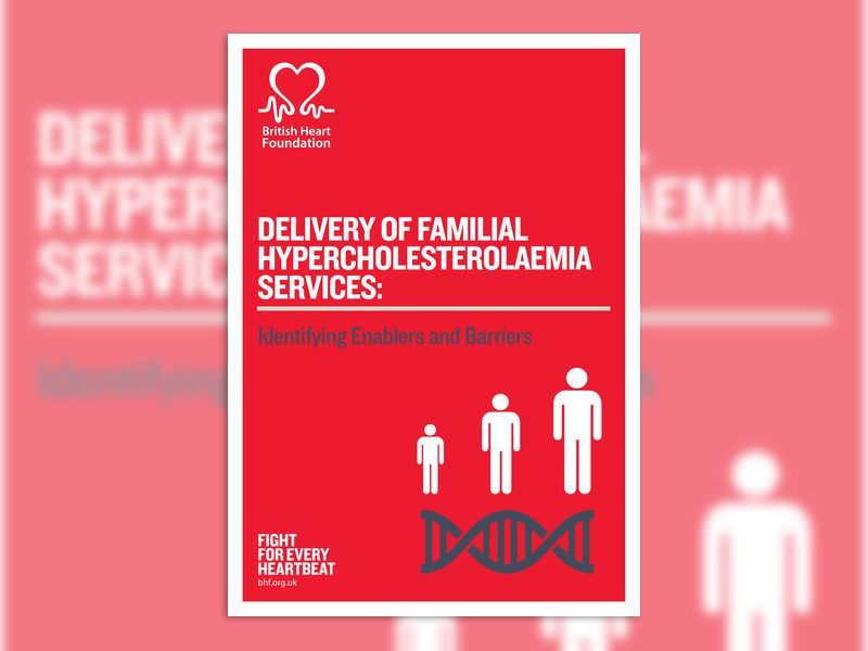 fh-evaluation-report2016final-vers-12122016