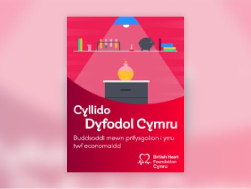 funding-wales-future-report-cover-welsh-136-174px