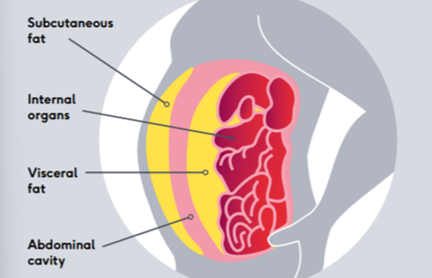 Your weight and heart and circulatory conditions - BHF