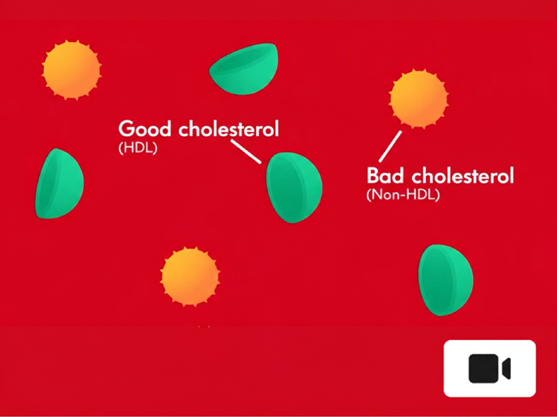 An infographic of good cholesterol (LD) and bad cholesterol (HDL)