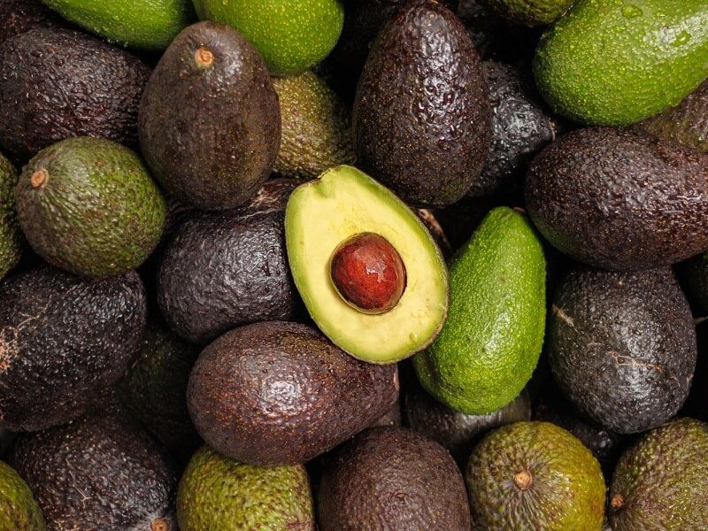 Avocado salad