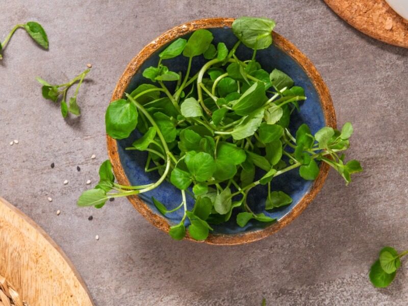 Watercress soup