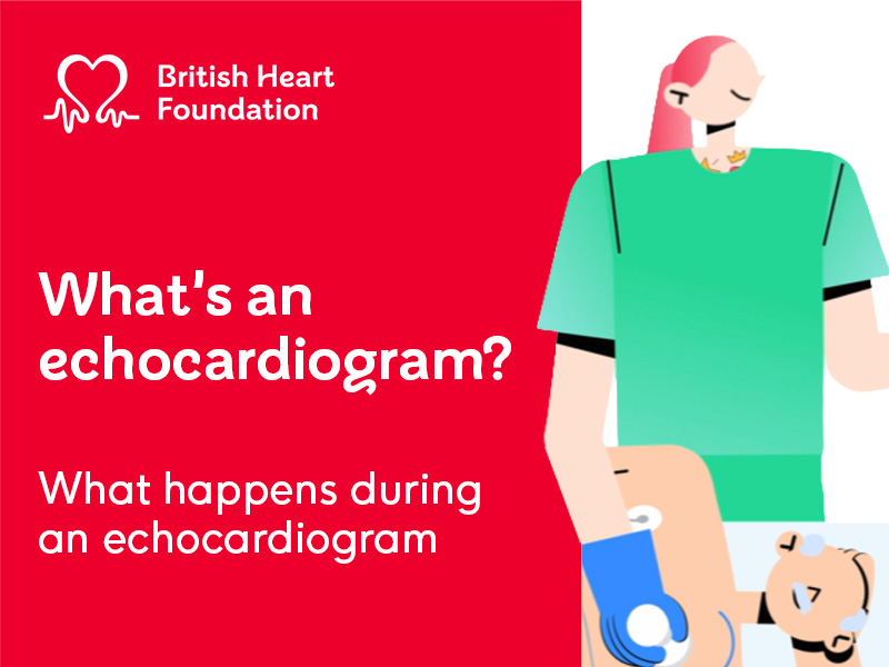 White text on red background reading "What's an echocardiogram? What happens during an echocardiogram". With illustration of a nurse doing an echocardiogram procedure on a patient.