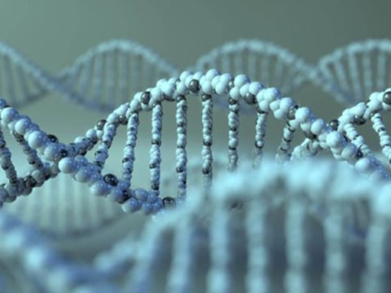 a stylised representation of a chain of DNA