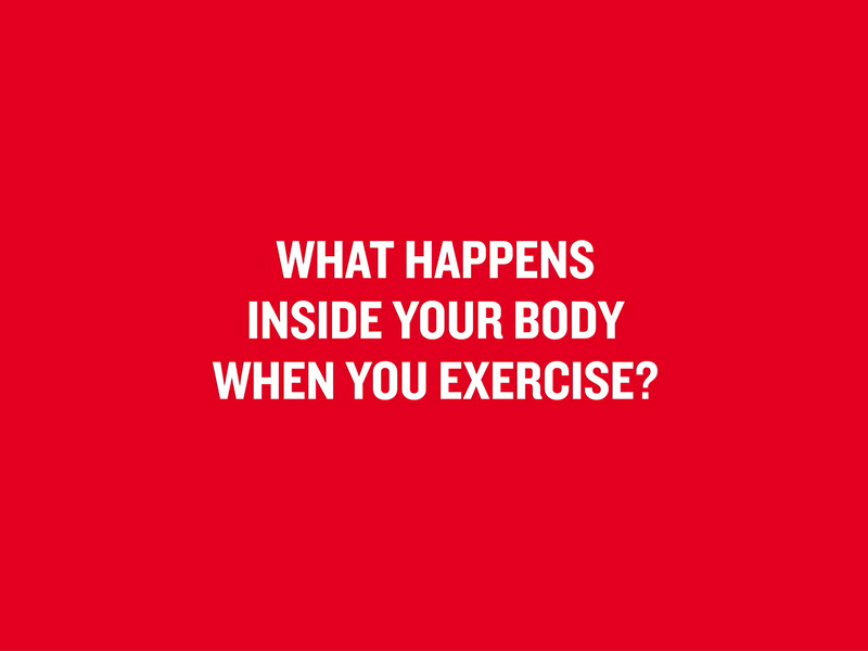 Text saying "What happens inside your body when you exercise?"