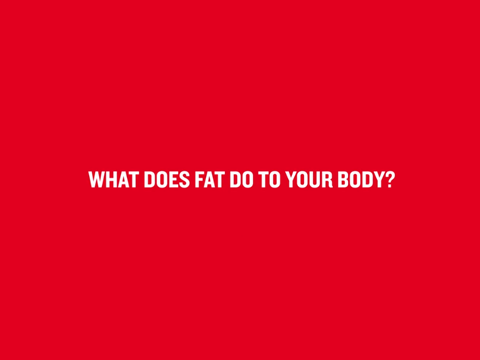 Red thumbnail with text what does fat do to your body