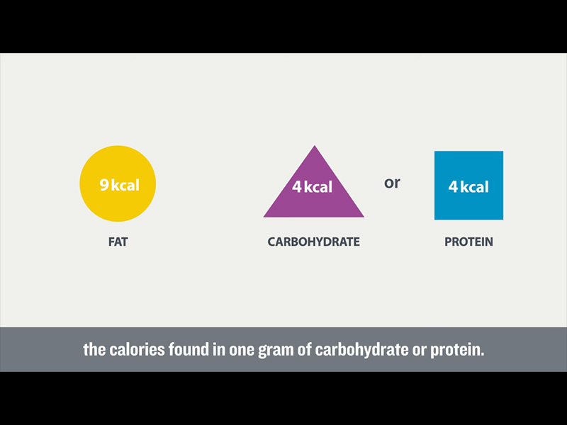 The calories in fat compared to the calories in carbohydrate or protein.