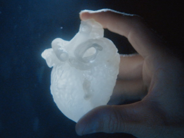 A hand holding a 3D-printed heart.
