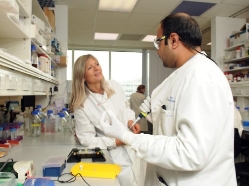 Two researchers having a conversation in a lab
