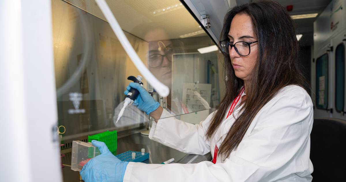 Researcher Dr Noseda works in a laboratory