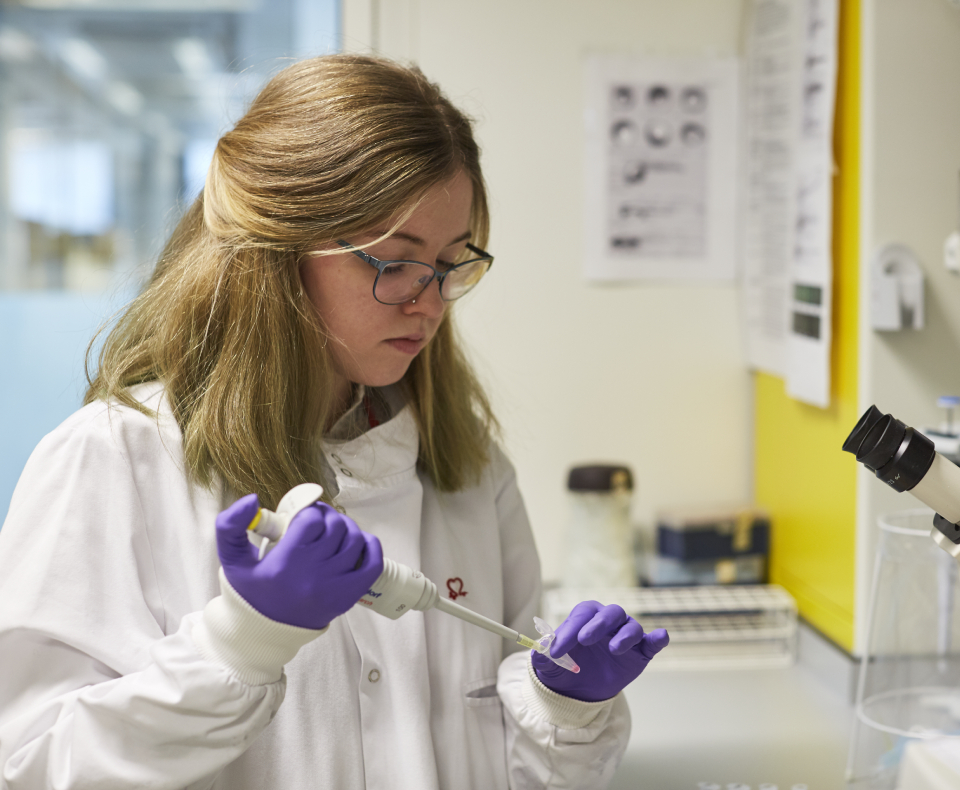 Public and supporter engagement events Live & Ticking BHF