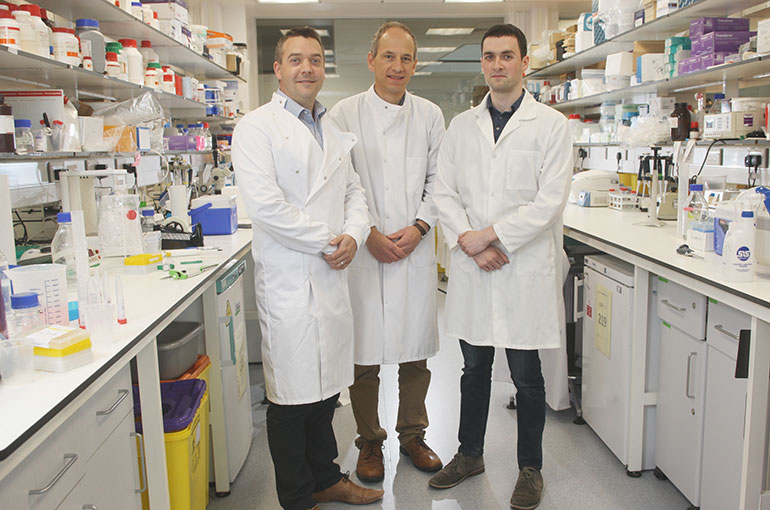 BHF researchers in the lab