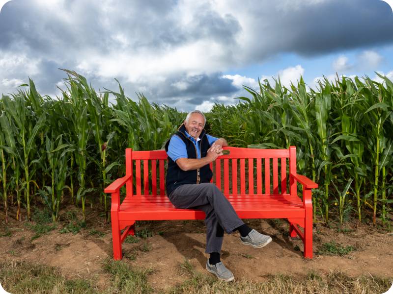 Hugh Thomas sitting on a red BHF bench between rows of tall corn, beneath a cloudy sky.