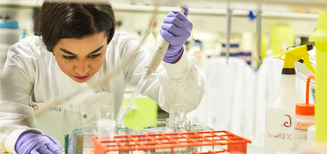 a researcher working in their lab