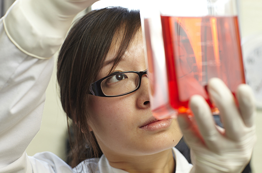 A BHF researcher in their lab. 