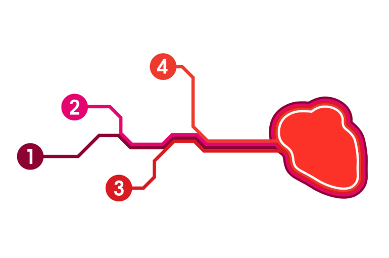 An illustration of the 4 workstreams of CureHeart