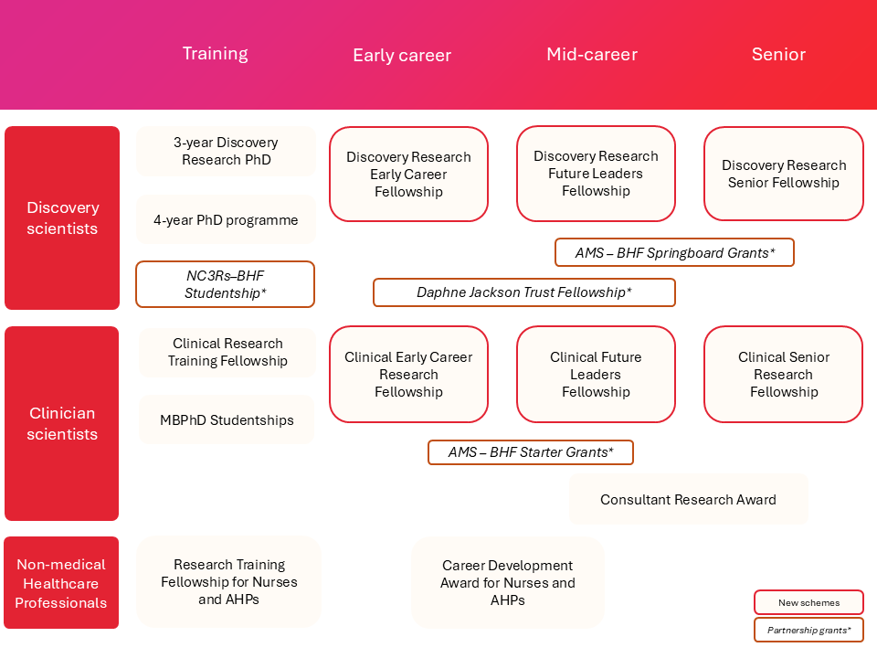 Overview of BHF Fellowships schemes