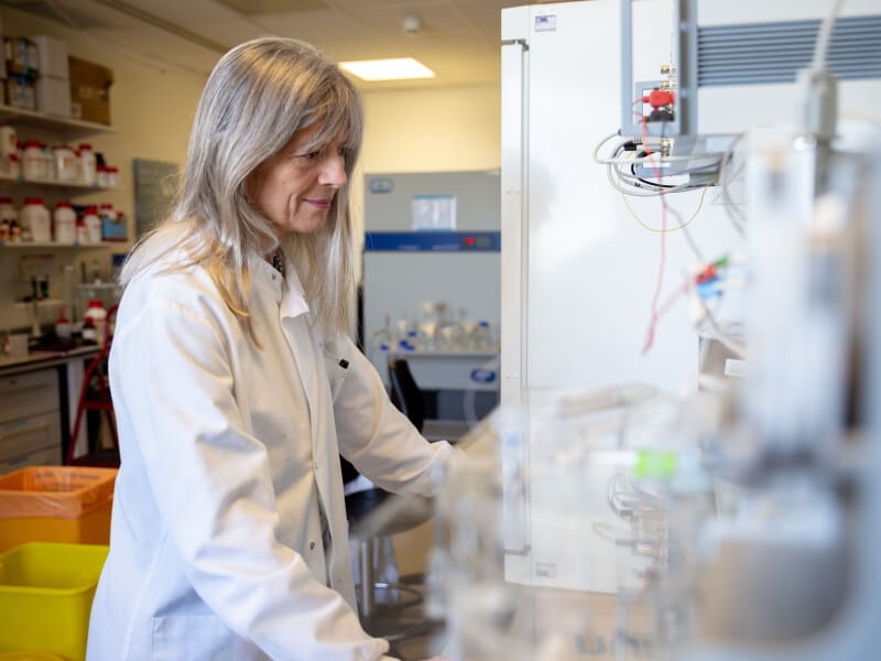 BHF researcher stands in a science lab looking at research equipment