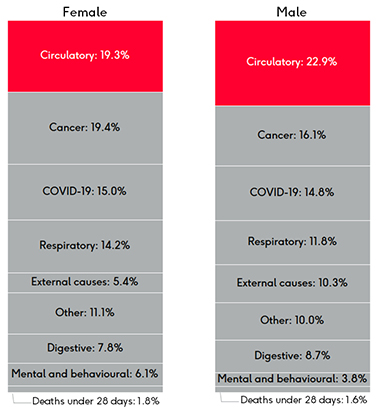 A demonstration of the contribution to the life expectancy gap between the most deprived and least deprived quintiles, split between female and male. In females circulatory disease contributes 19.3% of the life expectancy gap. In males it is 22.9%. 