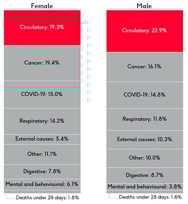 A demonstration of the contribution to the life expectancy gap between the most deprived and least deprived quintiles, split between female and male. In females circulatory disease contributes 19.3% of the life expectancy gap. In males it is 22.9%.
