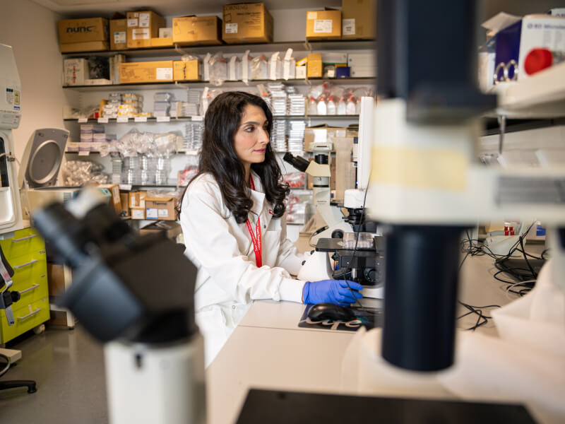 BHF researcher looking into a microscope in a research lab