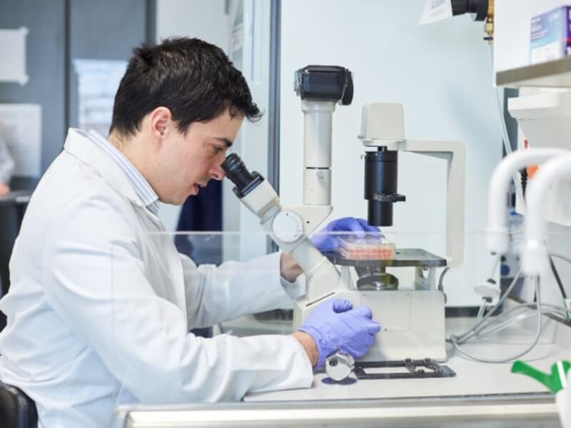 BHF researcher looking into a microscope