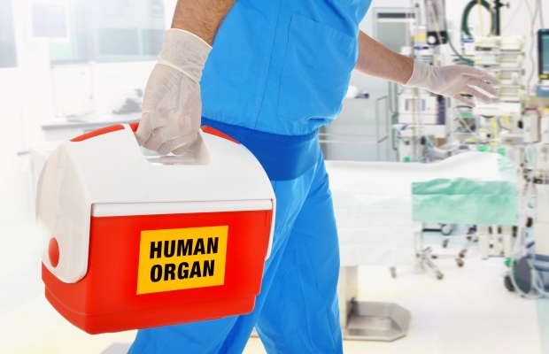 Organ box