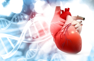 DNA and heart graphic