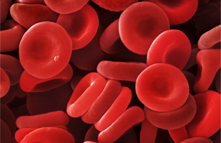 an electron microscope image of blood cells