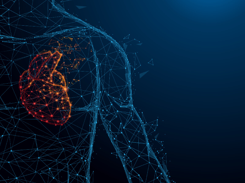 Graphic of human body with a heart