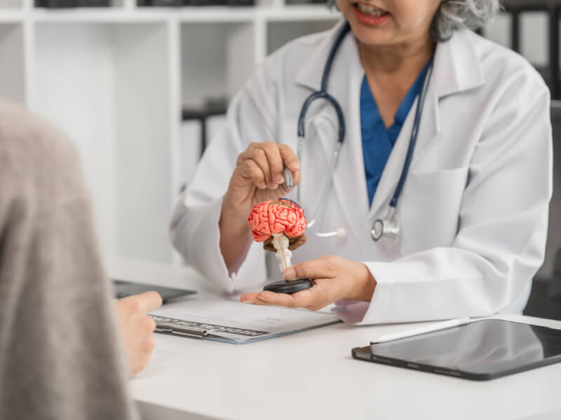 Doctor sat at a desk pointing to a plastic model of a human brain