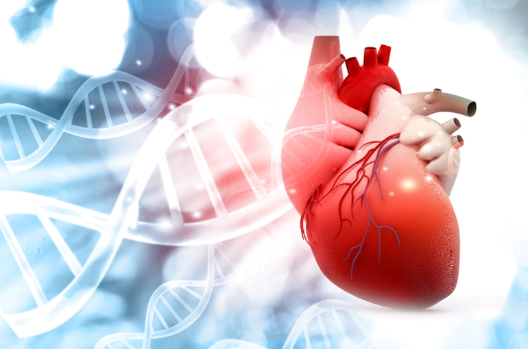DNA and heart graphic