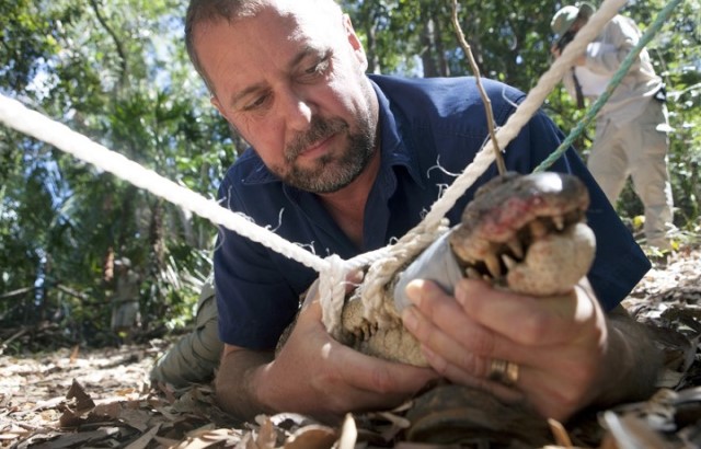 Prof Franklin and a crocodile