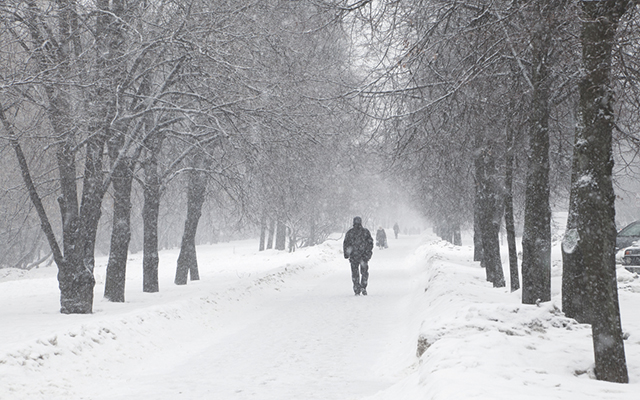 Snowy walk 