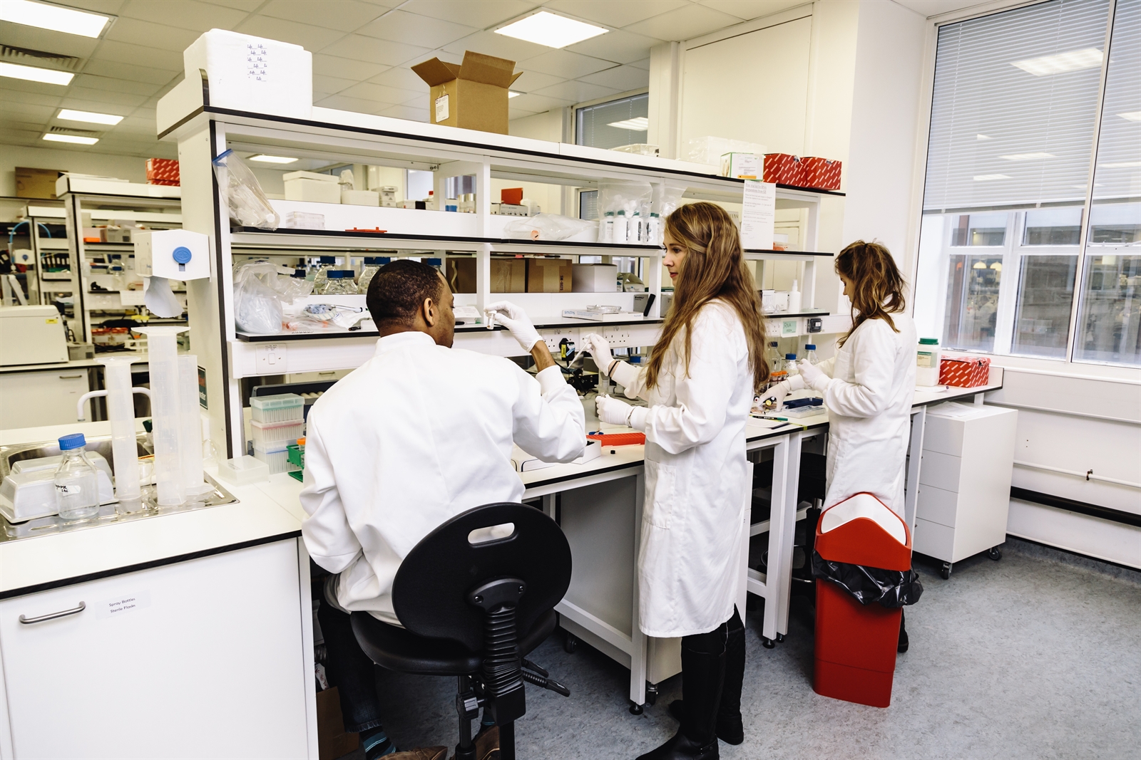 Researchers working in a laboratory