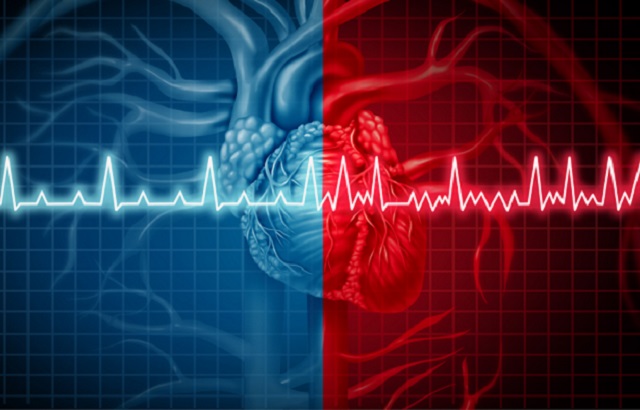 Heartbeat in a healthy heart and in someone who has atrial fibrillation 